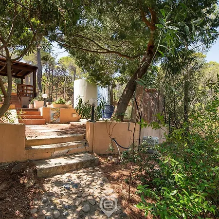 Pinus Village Coastal Hideway
